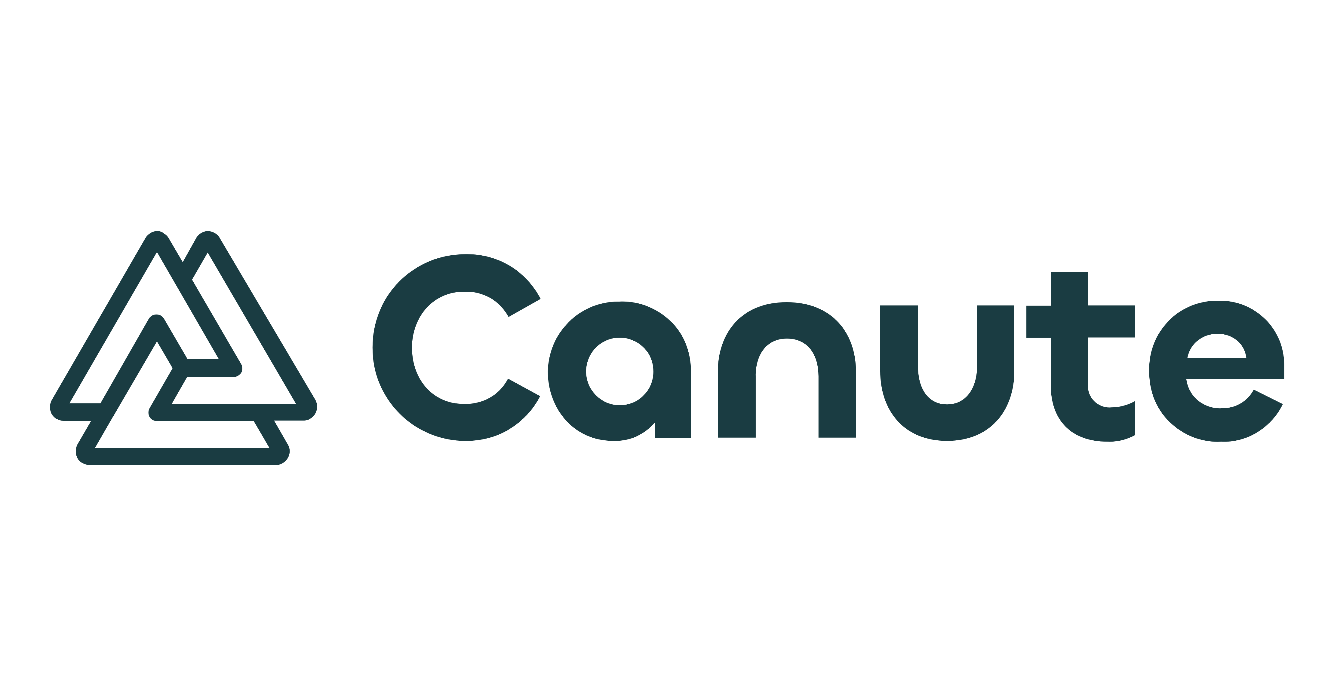 Canute logo